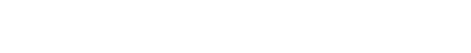 FAKTOR MENSCH